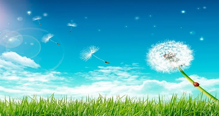 А ВЫ ПРОШЛИ ФЛЮРОГРАФИЮ? Профилактика туберкулеза