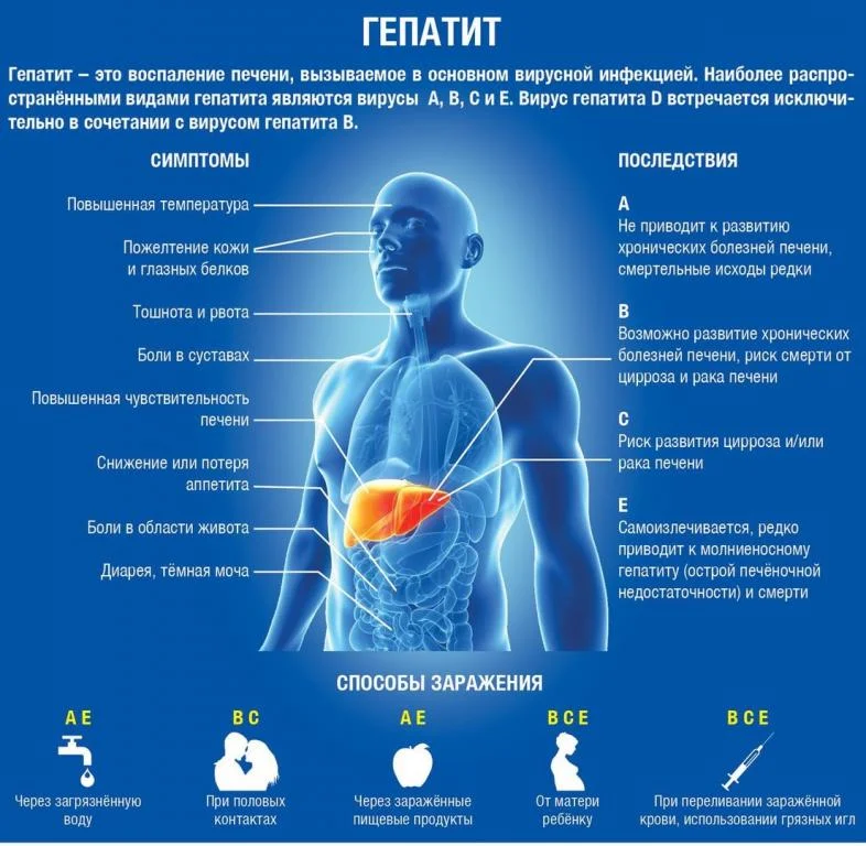Профилактика гепатита А,В,С