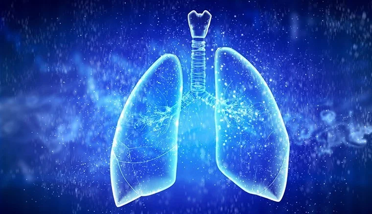 Туберкулез. Вопросы и ответы. Обучающий фильм + брошюра для пациентов