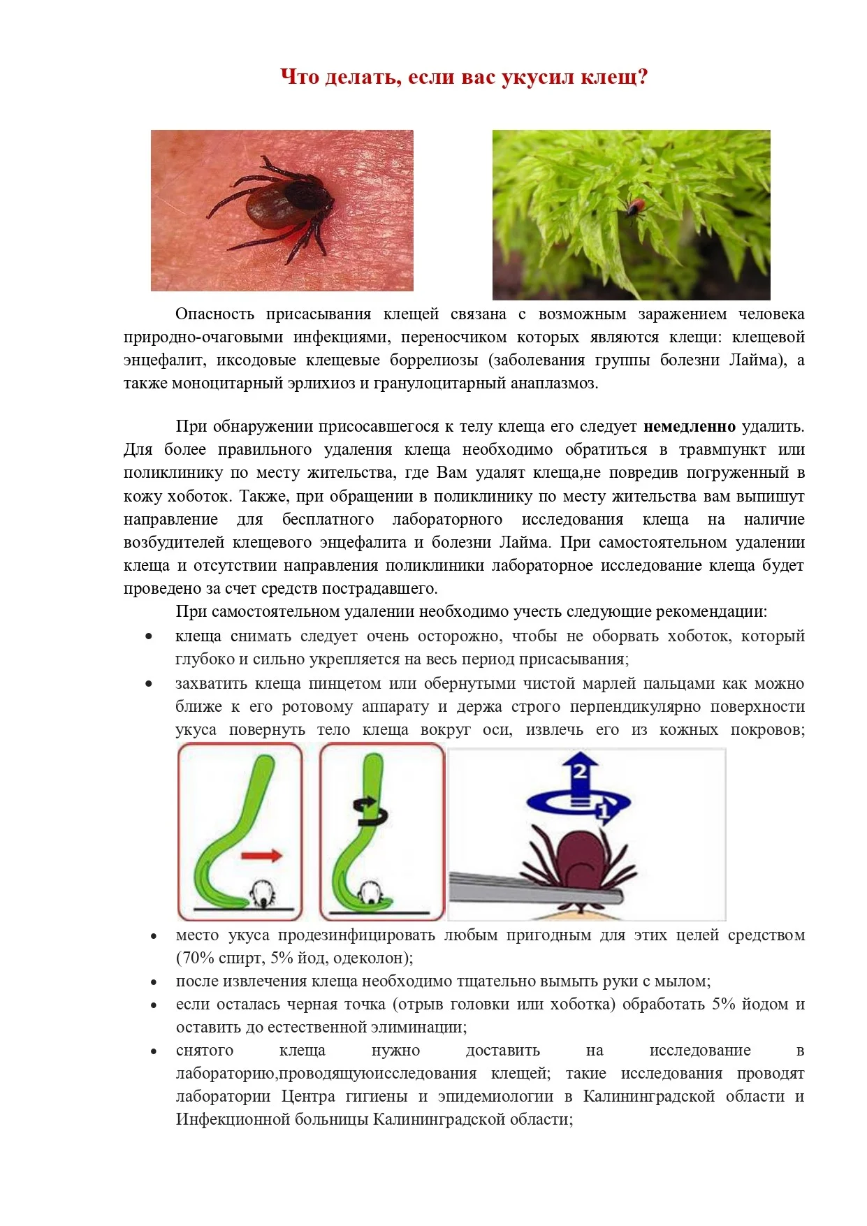 центр гигиены chto_delat_esli_vas_ukusil_kleshch_page-0001.jpg