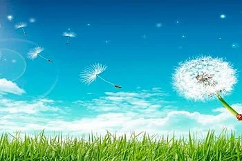 А ВЫ ПРОШЛИ ФЛЮРОГРАФИЮ? Профилактика туберкулеза