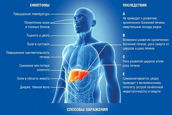 Профилактика гепатита А,В,С