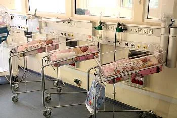 В регионе создана единая служба репродукторного выбора для женщин В регионе создана единая служба репродукторного выбора для женщин